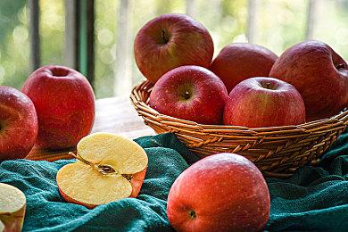 《寂静岭f》虚假测试骗局网上流传 科乐美紧急发声警告玩家